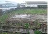 Developable Lot for Lease in Calamba, Laguna